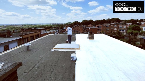 Raisons de Choisir Peinture Blanche toit Roofing