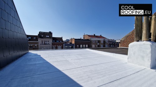 Cool Roof for Energy Efficiency and Extended Roof Life 