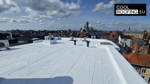 Waarom witte dakverf cruciaal is voor dakbedekking in ...